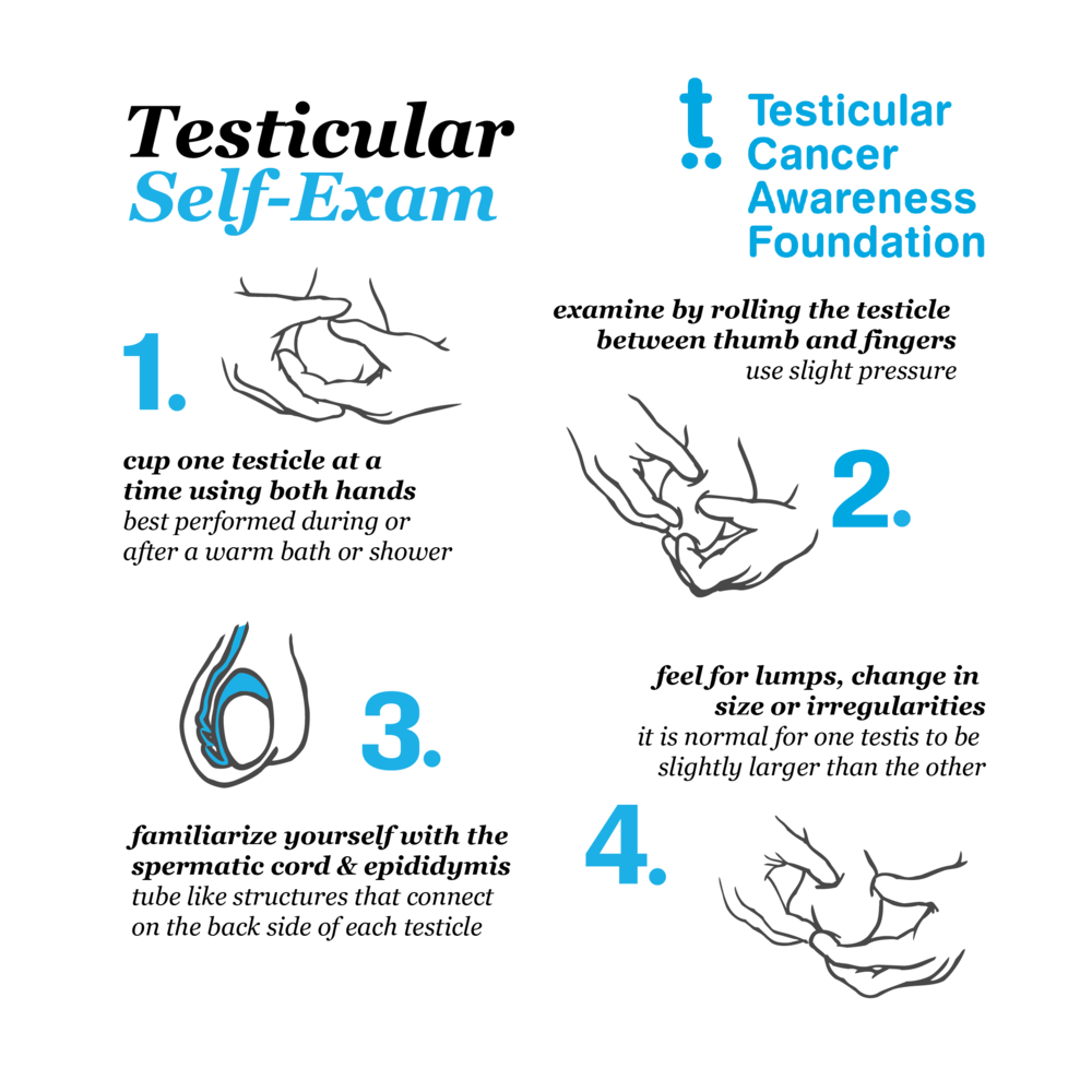 How To Assess Your Testicles Phoenix Men S Health Center